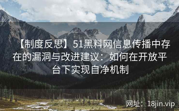 【制度反思】51黑料网信息传播中存在的漏洞与改进建议：如何在开放平台下实现自净机制