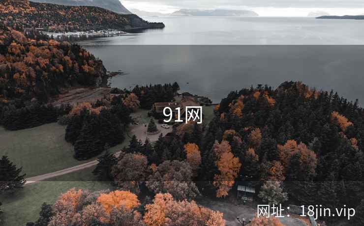 91网