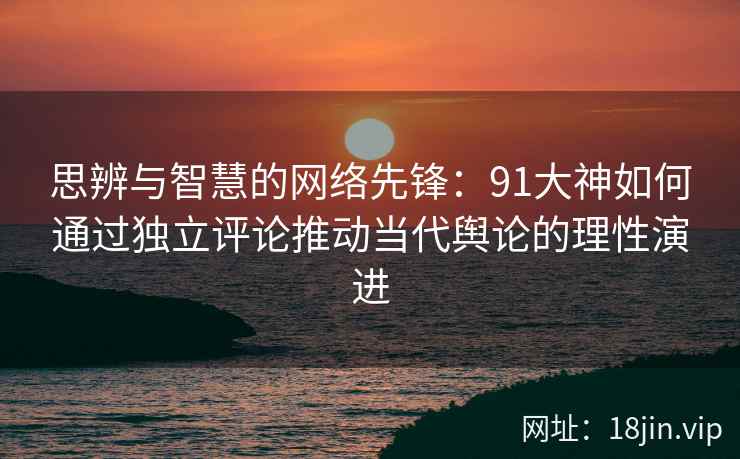 思辨与智慧的网络先锋：91大神如何通过独立评论推动当代舆论的理性演进
