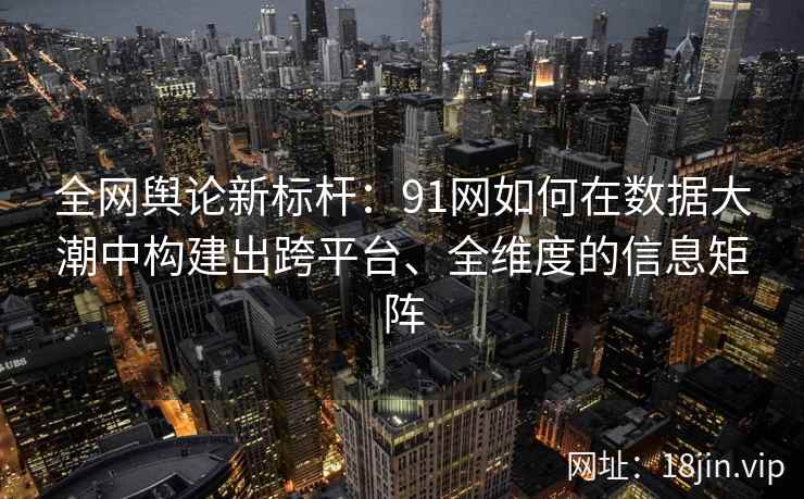 全网舆论新标杆：91网如何在数据大潮中构建出跨平台、全维度的信息矩阵