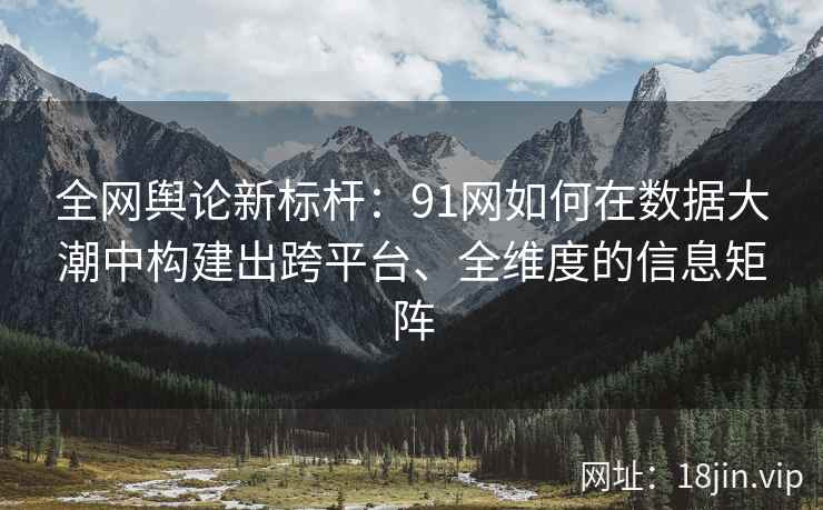 全网舆论新标杆：91网如何在数据大潮中构建出跨平台、全维度的信息矩阵