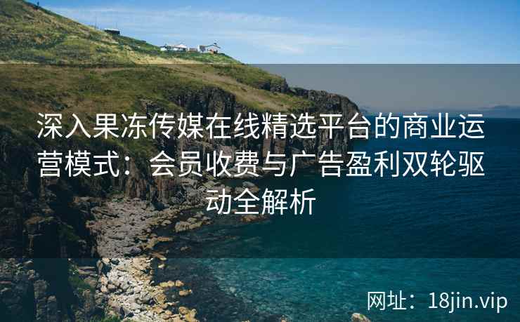 深入果冻传媒在线精选平台的商业运营模式：会员收费与广告盈利双轮驱动全解析
