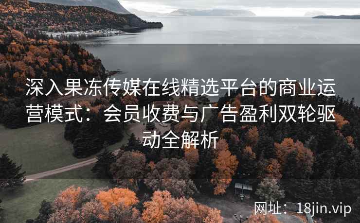 深入果冻传媒在线精选平台的商业运营模式：会员收费与广告盈利双轮驱动全解析