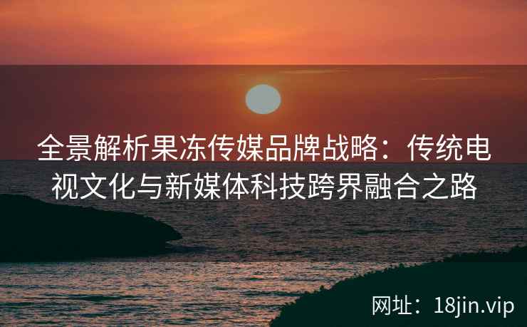 全景解析果冻传媒品牌战略：传统电视文化与新媒体科技跨界融合之路