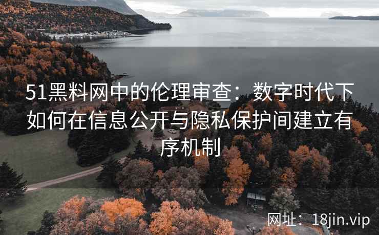 51黑料网中的伦理审查：数字时代下如何在信息公开与隐私保护间建立有序机制